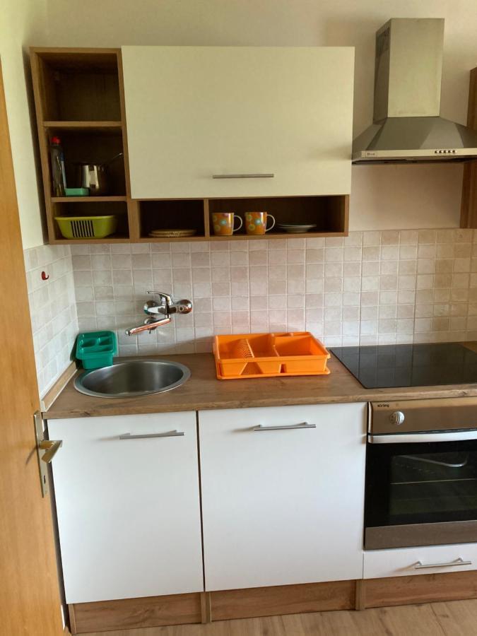 Milka 52 Apartment Bohinj Bagian luar foto